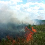 Incendii de vegetația uscată in comunele Leordeni si Izvoru (1)