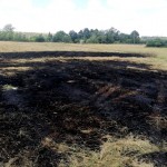 Incendii de vegetația uscată in comunele Leordeni si Izvoru (2)