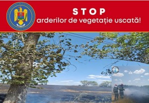 Stop arderikor de vegetatie uscata