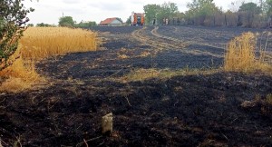 incendii isu arges (1)