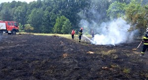 incendii isu arges (2)