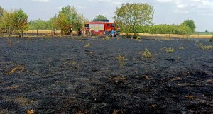 incendii isu arges (7)