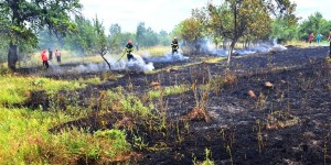 incendii isu arges (8)