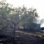 incendii vegetatie arges (3)