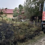 Incendii la vegetația uscată (2)