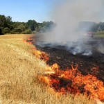 Incendiu de vegetație uscată (2)