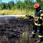 Incendiu de vegetație uscată (3)