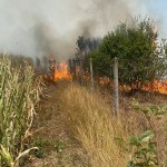 Incendiu izbucnit într-o gospodărie din Suseni (1)