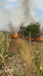 Incendiu izbucnit într-o gospodărie din Suseni (1)