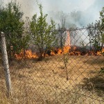 Incendiu izbucnit într-o gospodărie din Suseni (4)