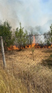 Incendiu izbucnit într-o gospodărie din Suseni (4)