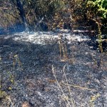 Incendiu la vegetația uscată din comuna Merișani (2)