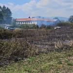 Incendiu violent în localitatea Merișani (1)