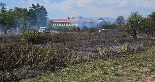 Incendiu violent în localitatea Merișani (1)