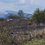 Incendiu violent în localitatea Merișani (2)