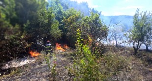 Peste 6 ha de teren distruse de flăcări (4)