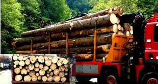 Transporta-fără-documente-material-lemnos