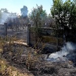 incendii vegetatie uscata jud arges (10)