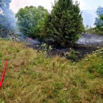 incendii vegetatie uscata jud arges (11)