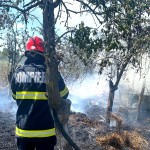 incendii vegetatie uscata jud arges (6)