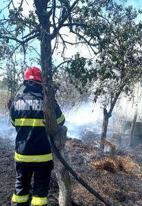 incendii vegetatie uscata jud arges (6)