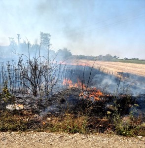 incendii vegetatie uscata jud arges (7)