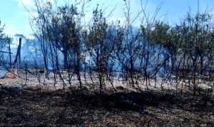 incendiu arges (8)