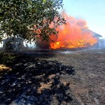 incendiu casa-anexe si lan de grau suseni (1)