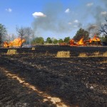 incendiu casa-anexe si lan de grau suseni (2)