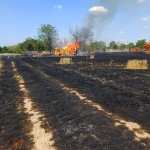 incendiu casa-anexe si lan de grau suseni (3)