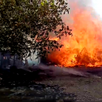 incendiu casa-anexe si lan de grau suseni (4)