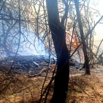 incendiu curtea de arges (3)