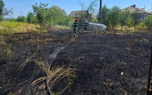 incendiu parvu-roeu arges (3)