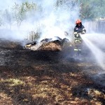 incendiu parvu-roeu arges (5)