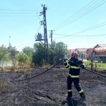 incendiu parvu-roeu arges (6)