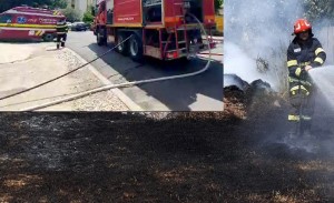 incendiu vegetatie