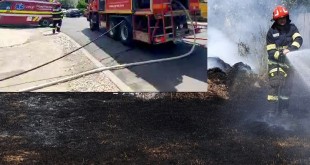 incendiu vegetatie