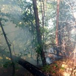 incendiu vegetatie uscata arges (1)