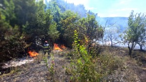 incendiu vegetatie uscata arges