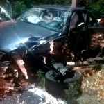 Accident cu cinci victime la Davidești (2)