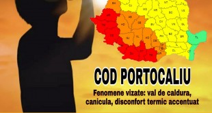 COD PORTOCALIU