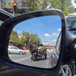 Căruțaș sancționat contravențional (1)