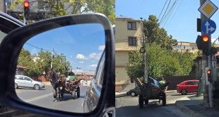 Căruțaș sancționat contravențional