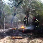 Incendii izbucnite la vegetația uscată din comunele Băiculești și Râca (3)