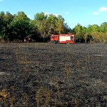 Incendiu de vegetație Popești (5)