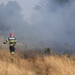 Incendiu într-o gospodărie din comuna Popești (1)