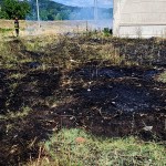 incendii de vegetație (5)