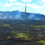 incendii de vegetație (6)