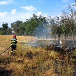 incendii de vegetație uscată arges (1)