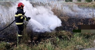 incendii de vegetație uscată arges (2)